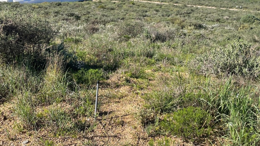 0 Bedroom Property for Sale in St Helena Views Western Cape